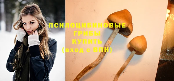a pvp Армянск