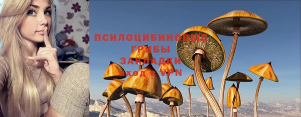 a pvp Армянск
