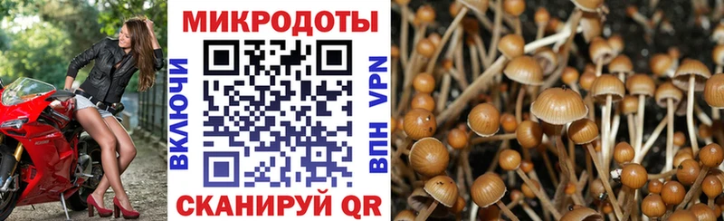 даркнет сайт  Малоархангельск  Галлюциногенные грибы MAGIC MUSHROOMS 